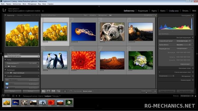 Adobe бесплатная версия с официального сайта. Photoshop Lightroom 5. Лайтрум 5.7. Фотошоп лайтрум 5.1. Игра Adobe.